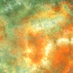 Quilter's Cotton Muslin